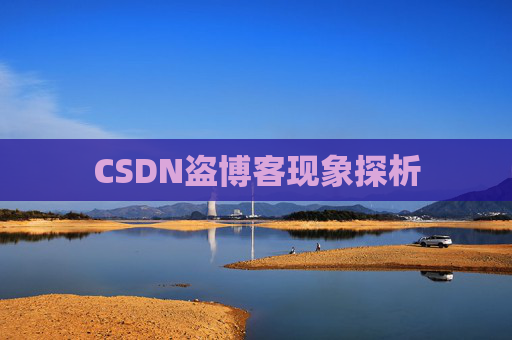 CSDN盗博客现象探析